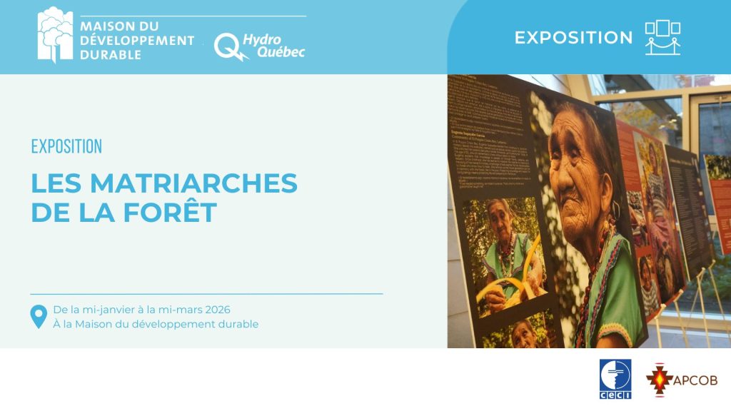 Affiche de l’exposition Les matriarches de la forêt présentée à la Maison du développement durable, en partenariat avec Hydro-Québec, CECI et APCOB. L’événement se déroule de la mi-janvier à la mi-mars 2026. À droite, photographies de femmes autochtones de la Chiquitanía exposées sur des panneaux.