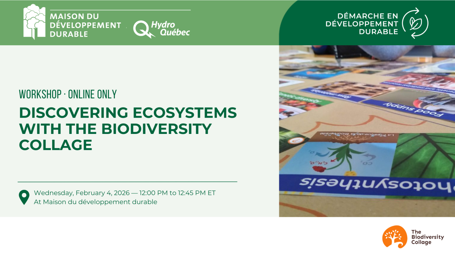 Discovering Ecosystems with the Biodiversity Collage - Maison du ...