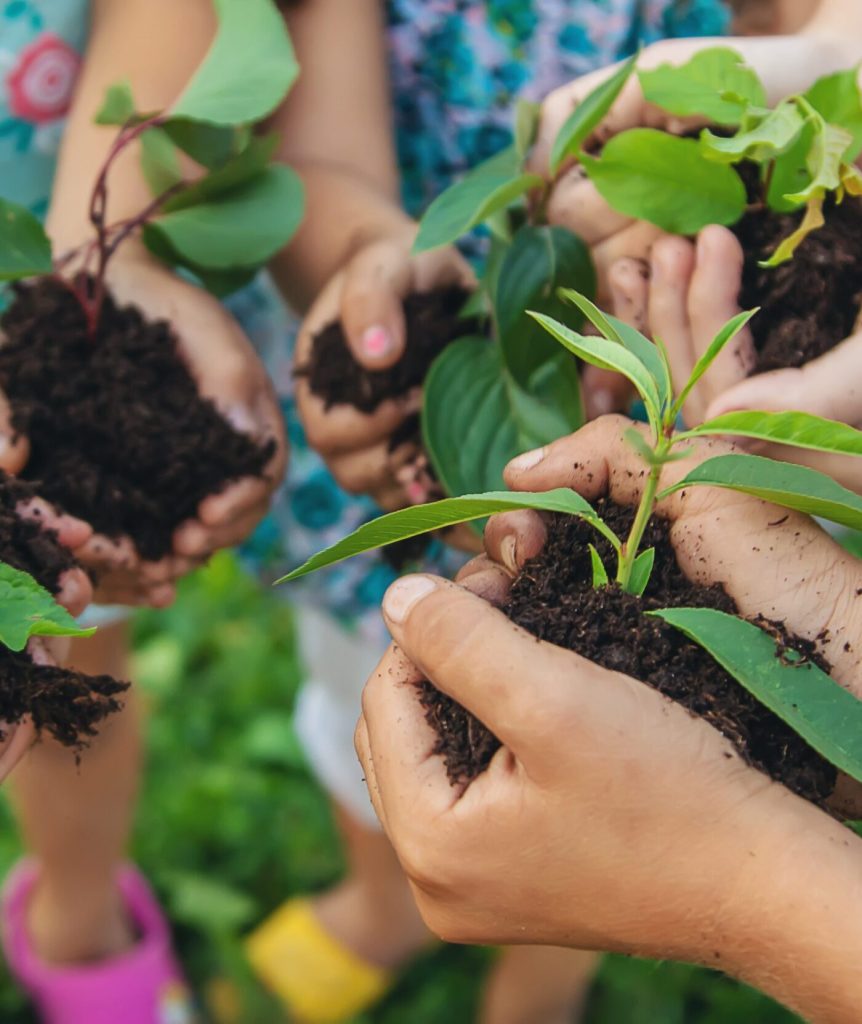 Des mains d'enfants et d'adultes tenant de jeunes plants dans de la terre
